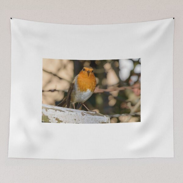 Item preview, Colourful Robin designed and sold by Mike Cave.