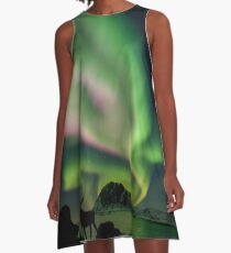 Moose with Northern Lights A-Line Dress