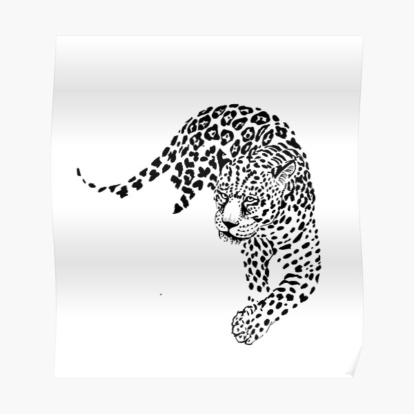 Gepard Posters Redbubble