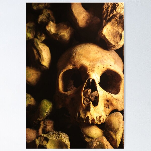 Item preview, Catacombs designed and sold by ArrowFlight.