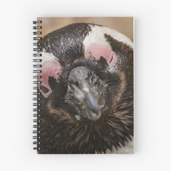 Item preview, Penguin from above designed and sold by photosbygemmad.