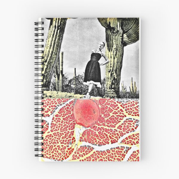 Item preview, Soil Histology designed and sold by AFKnott.