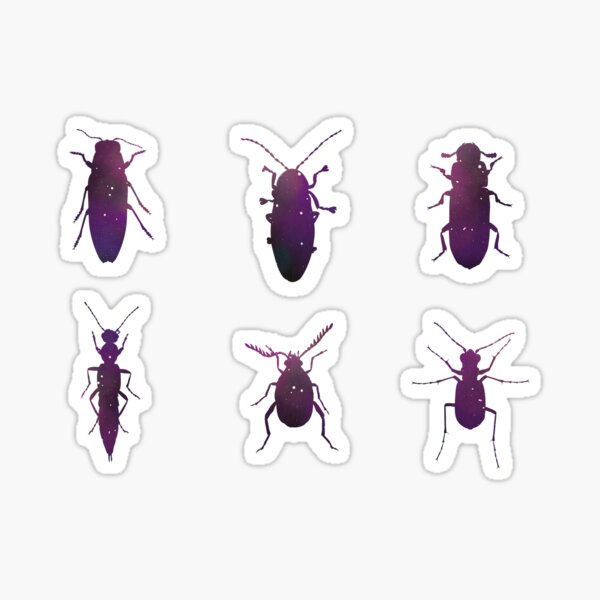 Galaxy Beetle Stickers Sticker