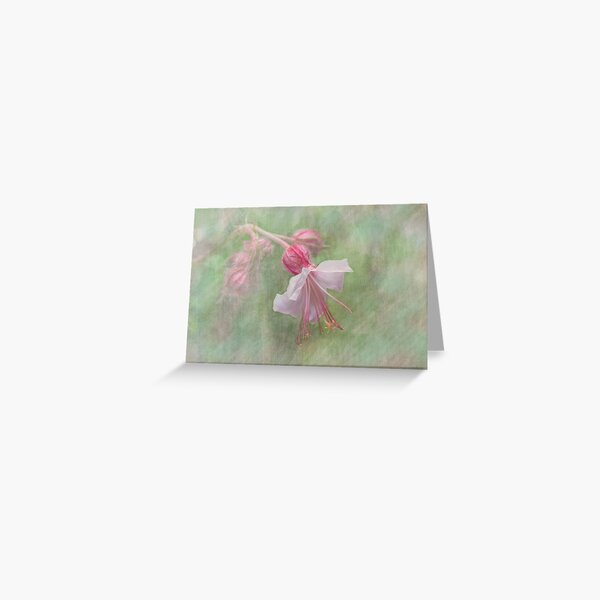 Pink Cranesbill Geranium Greeting Card
