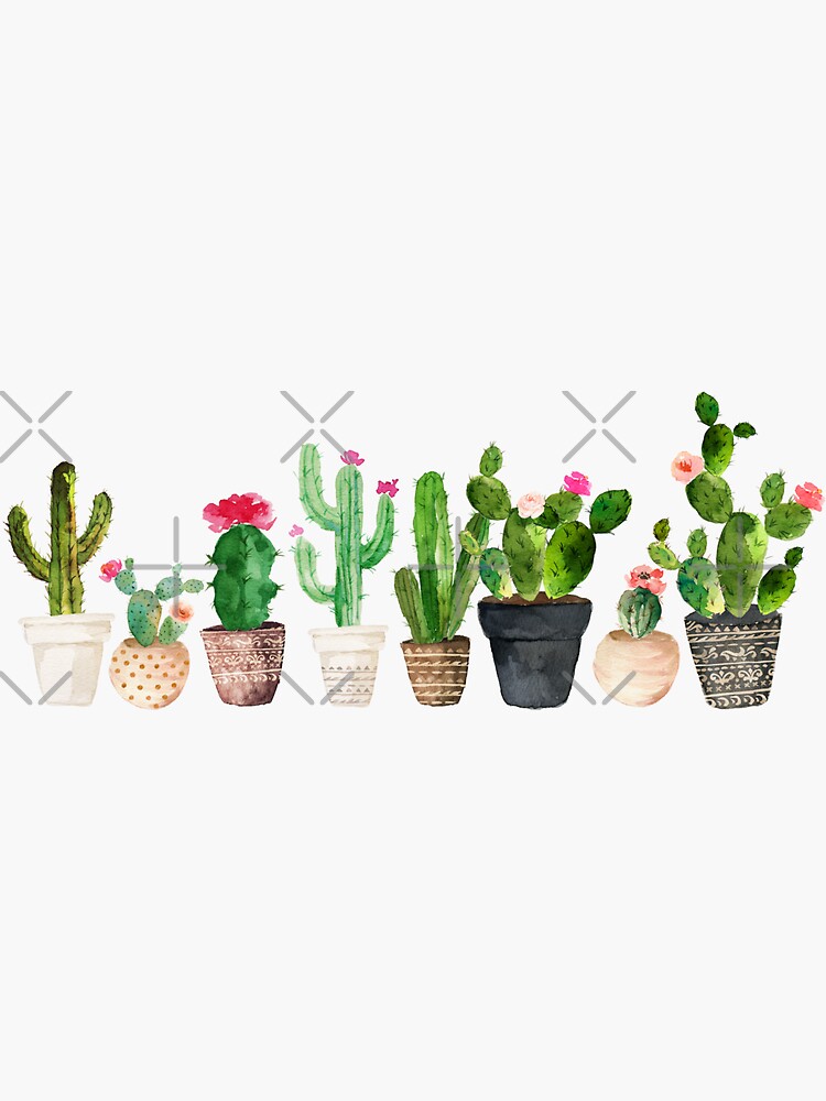 Cactus by BekkaCampbell