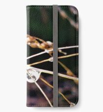 Autumn Rain iPhone Wallet/Case/Skin