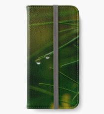 rain drop on pine bough iPhone Wallet/Case/Skin