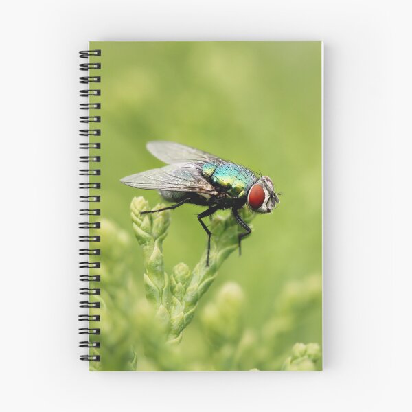 Item preview, A Bug's Life designed and sold by Tracy Friesen.