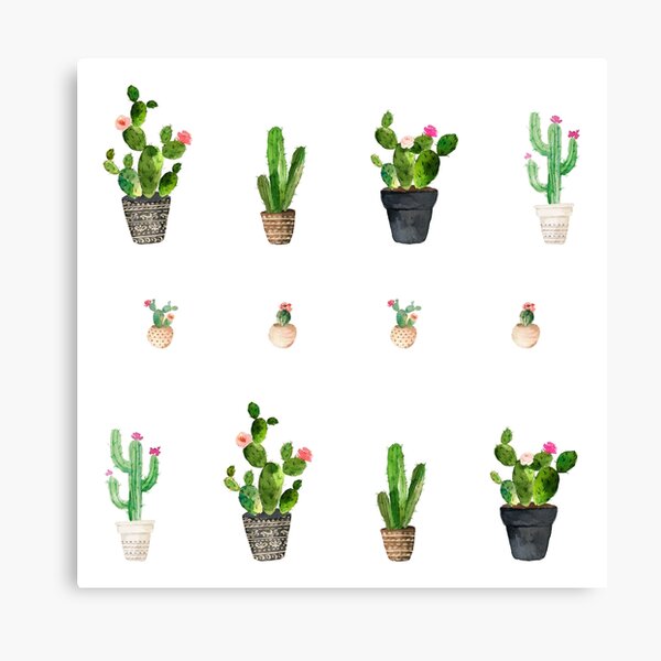 Cactus Pattern Canvas Print
