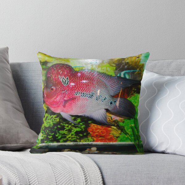Item preview, Flowerhorn Cichlid designed and sold by Asiantiger247.