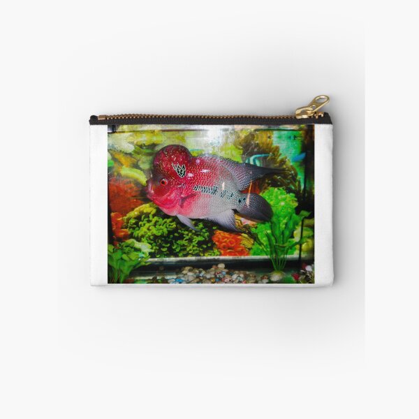 Item preview, Flowerhorn Cichlid designed and sold by Asiantiger247.