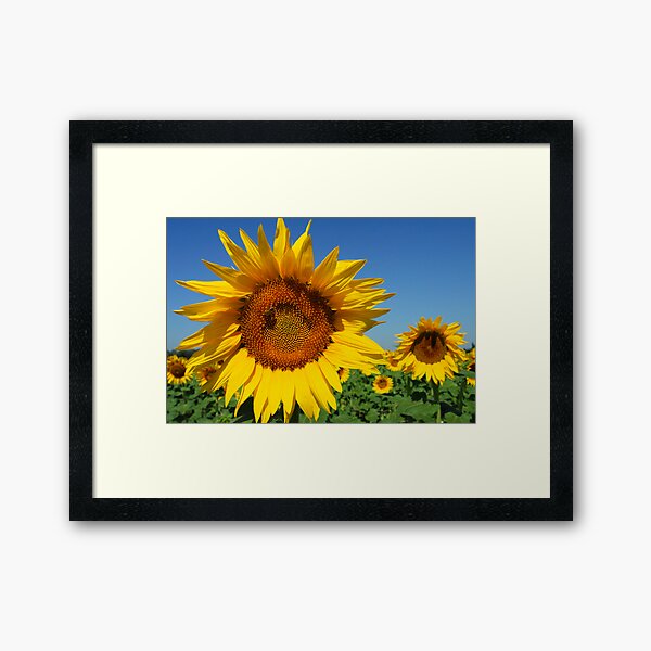 Item preview,  Sud de la France designed and sold by Marita Sutherlin.