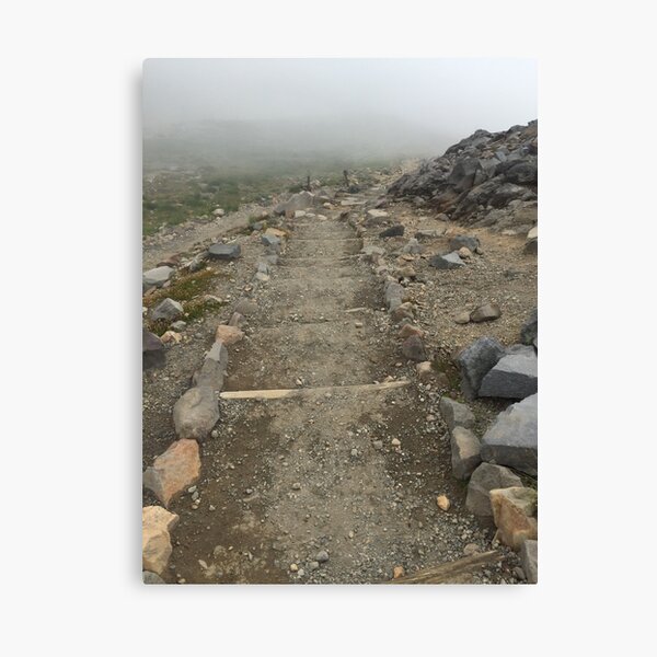 Item preview, Mount Rainier path designed and sold by Trendature Online .