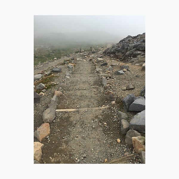 Item preview, Mount Rainier path designed and sold by Trendature Online .
