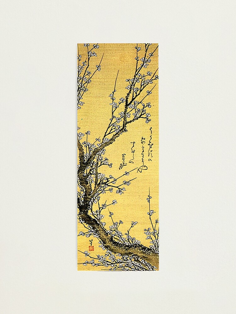 Alternate view of 'Flowering Plum' by Katsushika Hokusai (Reproduction) Photographic Print