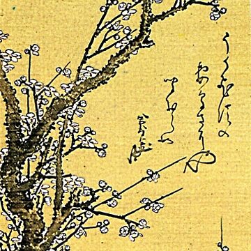 Artwork thumbnail, 'Flowering Plum' by Katsushika Hokusai (Reproduction) by Classic Visions Gallery