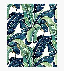 Banana Leaves Photographic Print