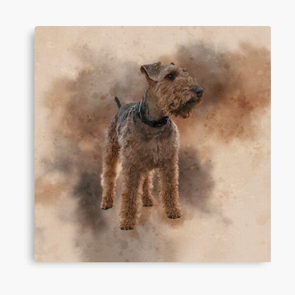Welsh Terrier Canvas Print