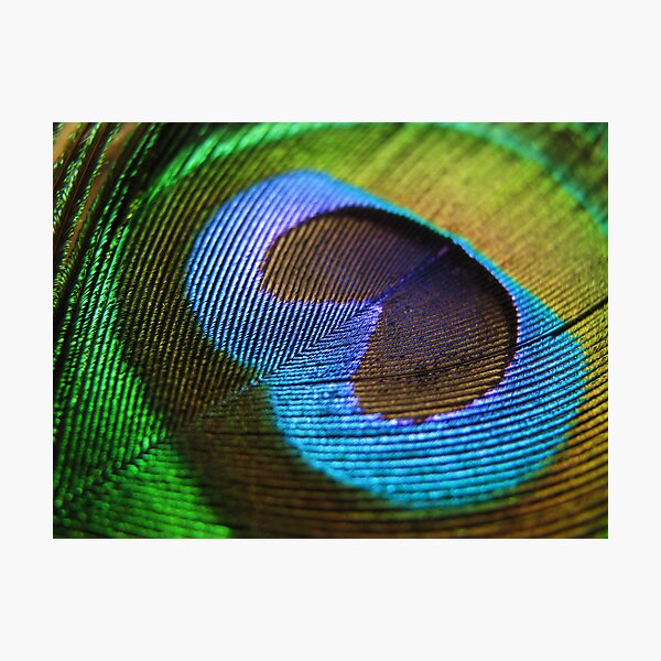 Item preview, Colours of the wind designed and sold by oakham16519.