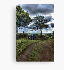 Farm track, near Tedburn St Mary, Devon Canvas Print