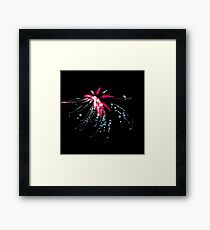 Splash Framed Print