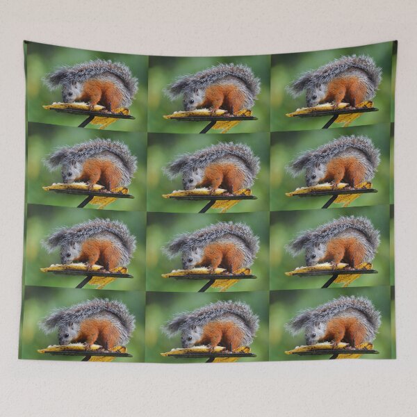 Item preview, Variegated Squirrel designed and sold by Carole-Anne.