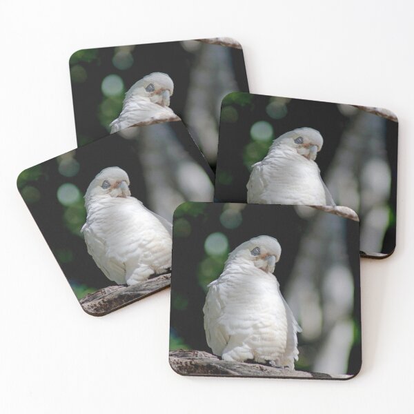 Item preview, © Little corella designed and sold by GeoPipics.