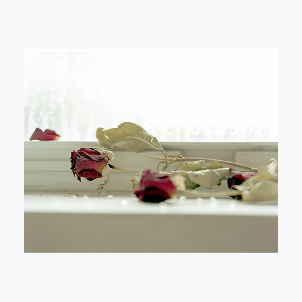 Item preview, Roses designed and sold by Lindsey Van Nuil.