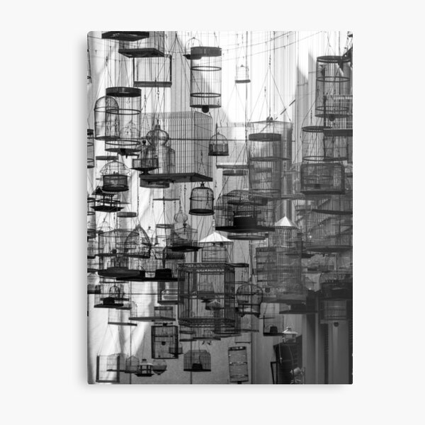"Forgotten Songs" Angel Place, Sydney Metal Print