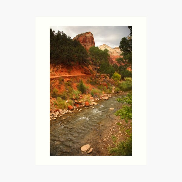 Virgin River, Zion National Park Art Print