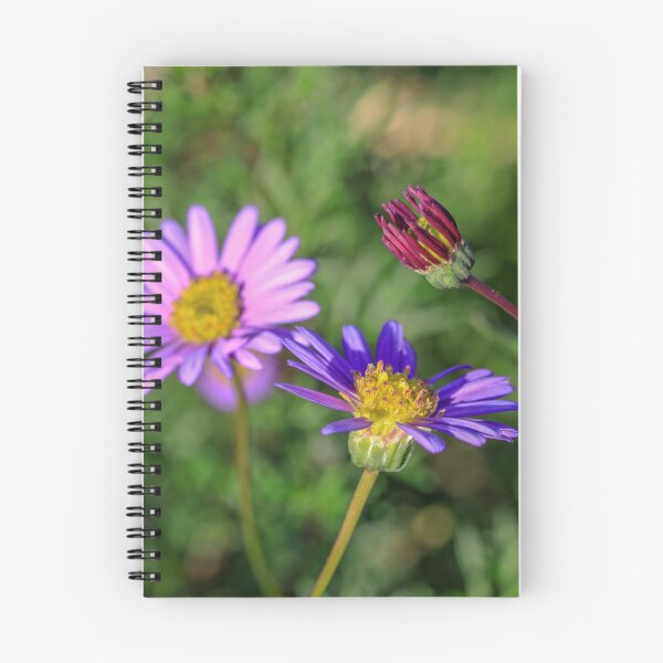 Item preview, Pink and Purple Daisies 1 designed and sold by Carolyn's Captures - Original Photohgraphy.