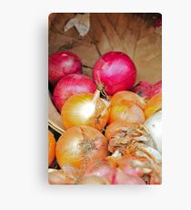 Onions in a barrel Canvas Print