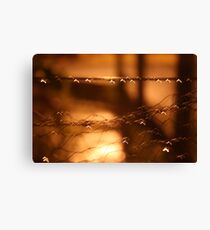 Oh! I need a tripod Canvas Print