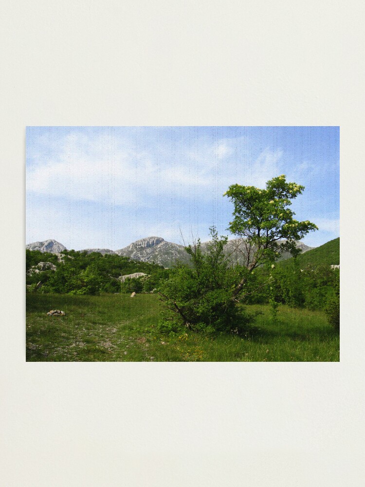 Thumbnail 1 of 3, Photographic Print, The Land of Fairies and Angels designed and sold by TatianaMichaela.