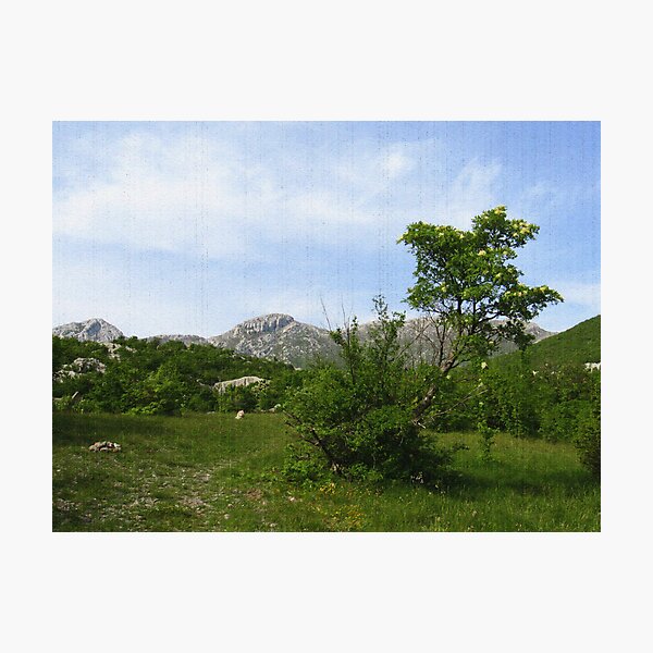Photographic Print