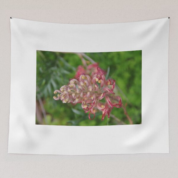 Item preview, Pink Grevillea In Dunsborough designed and sold by lezvee.