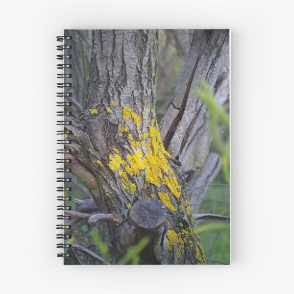 Item preview, Yellow Lichen designed and sold by lezvee.
