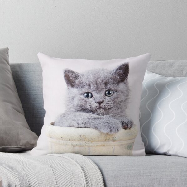Item preview, Fluffy gray kitten British in a vase designed and sold by utekhina.