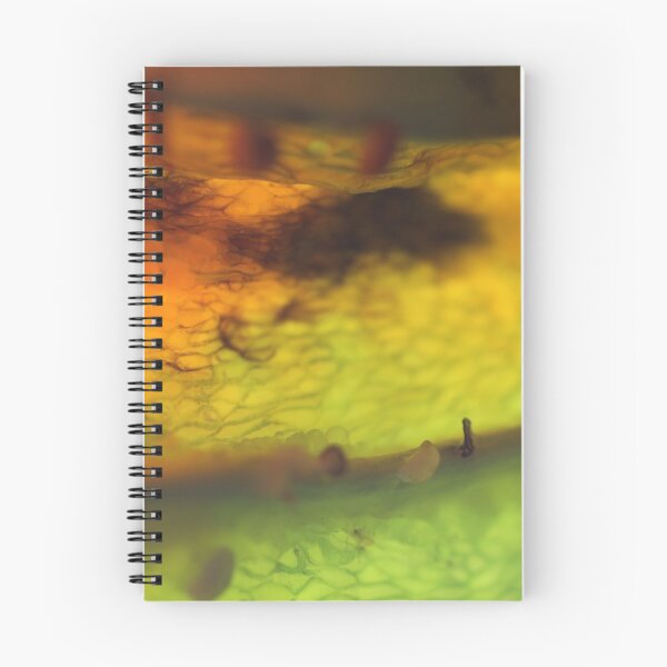 Item preview, thunderpepper designed and sold by yvesrossetti.