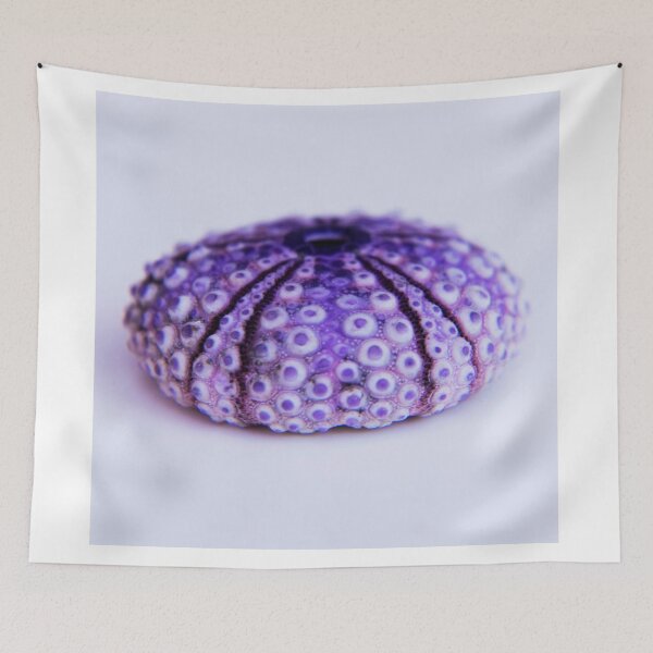 Item preview, purple urchin designed and sold by TessAndre.