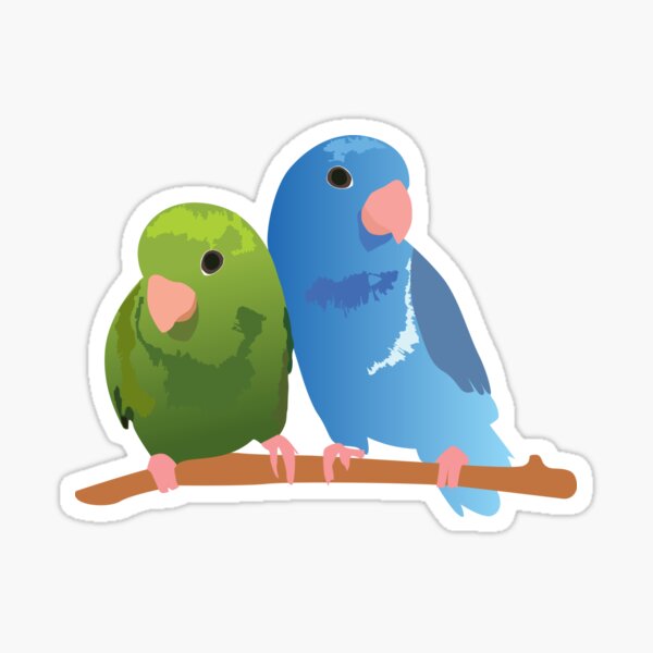 Item preview, Cute kuddling Parrotlets Blue and Green designed and sold by cbrink.