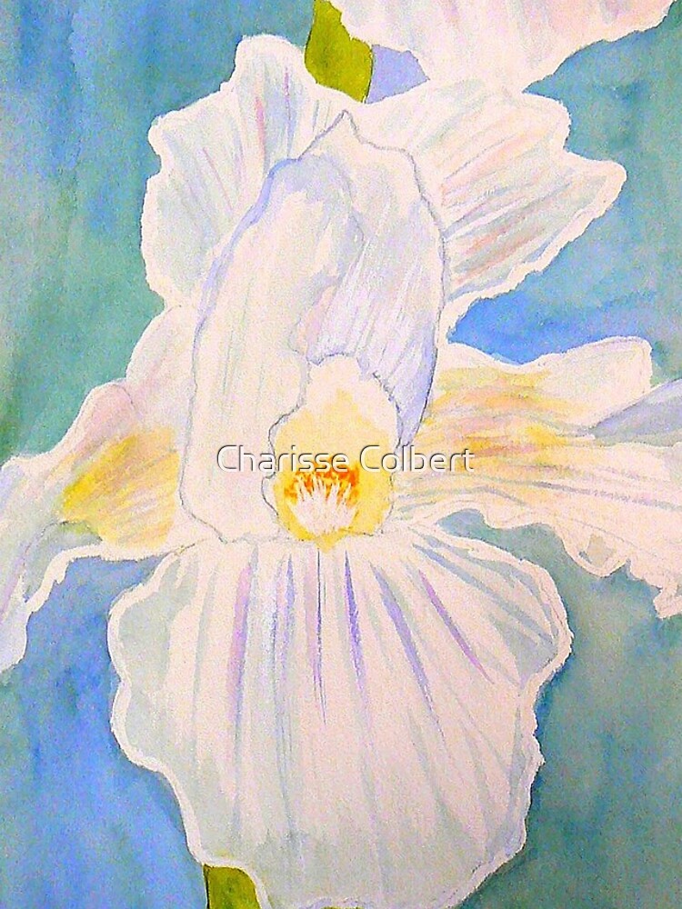 Immortality Iris by charissecolbert