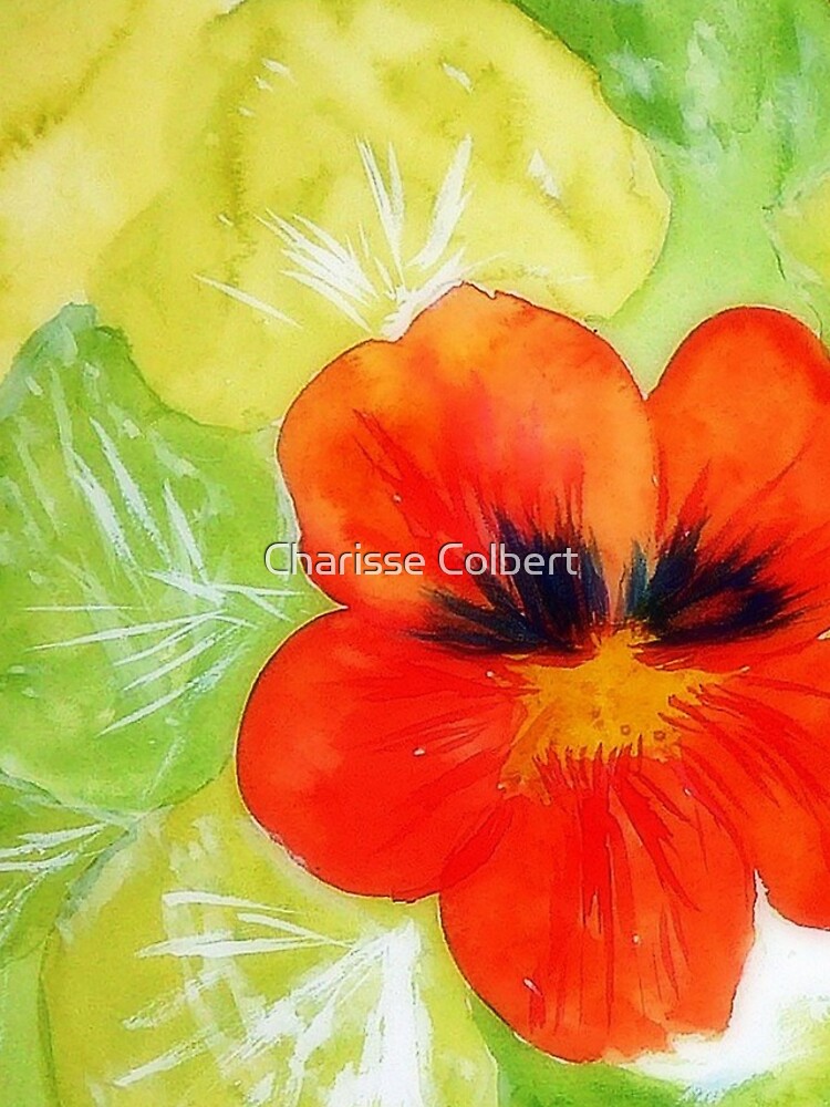 Nasturtium by charissecolbert