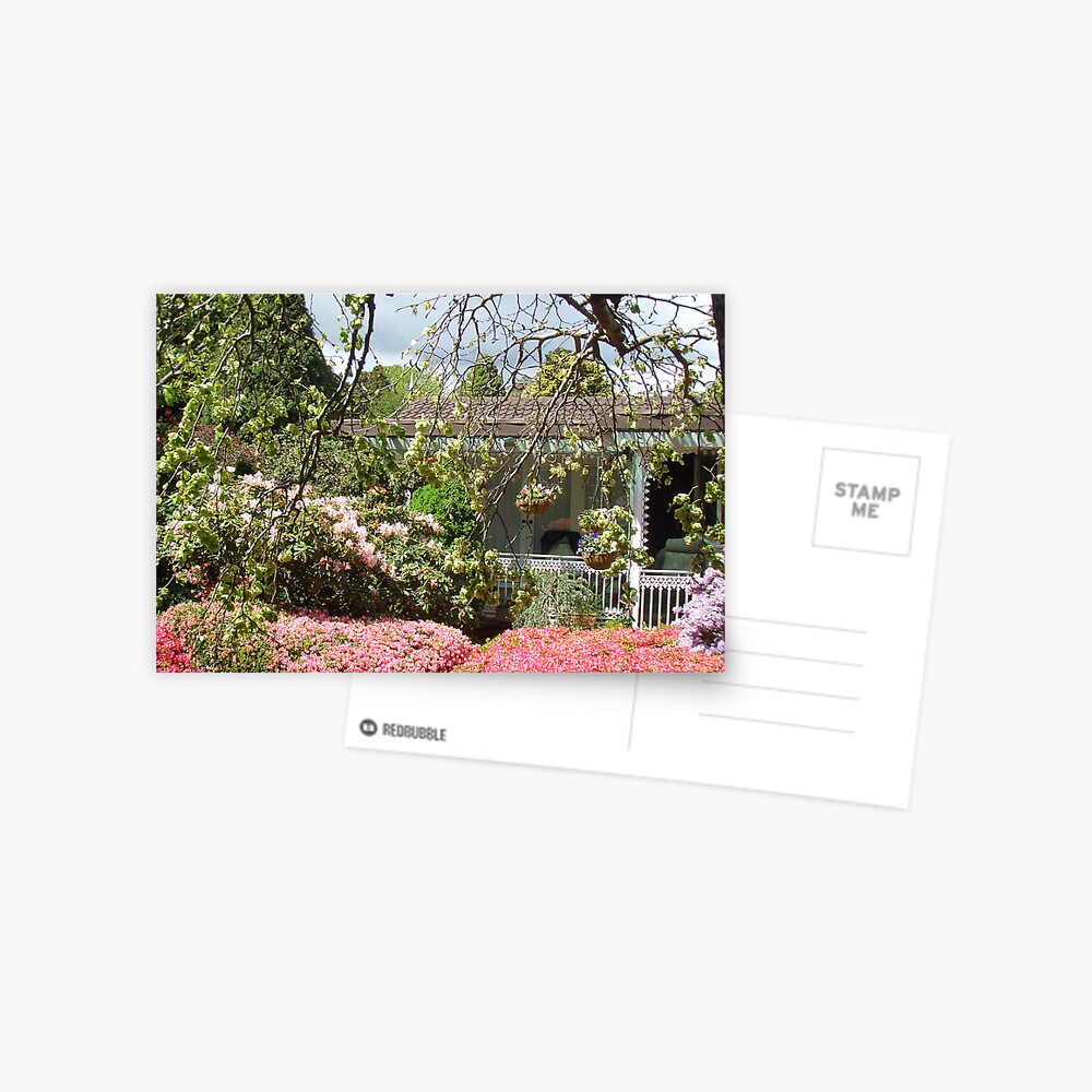 Item preview, Postcard designed and sold by windana1.