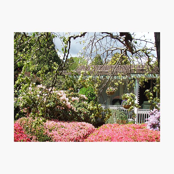 Introducing Leura Gardens~bd12 Photographic Print