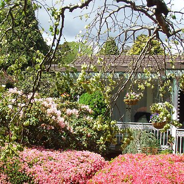 Artwork thumbnail, Introducing Leura Gardens~bd12 by Alex Gardiner