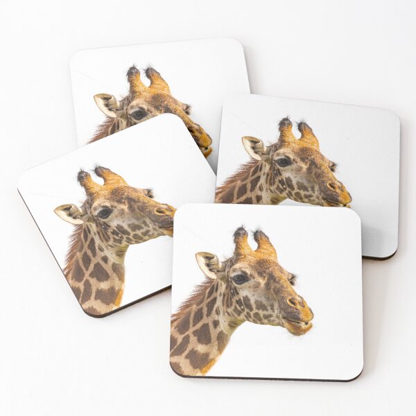 Item preview, Close up of head of female Massai Giraffe. designed and sold by Jensphotos.