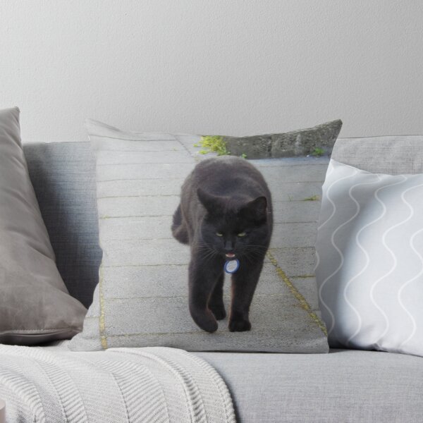 Item preview, On Neighborhood Watch designed and sold by Kathleen Brant.