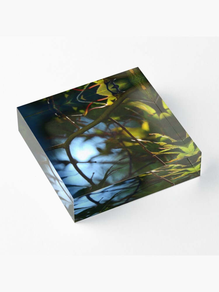 Alternate view of The Serene Wood Acrylic Block