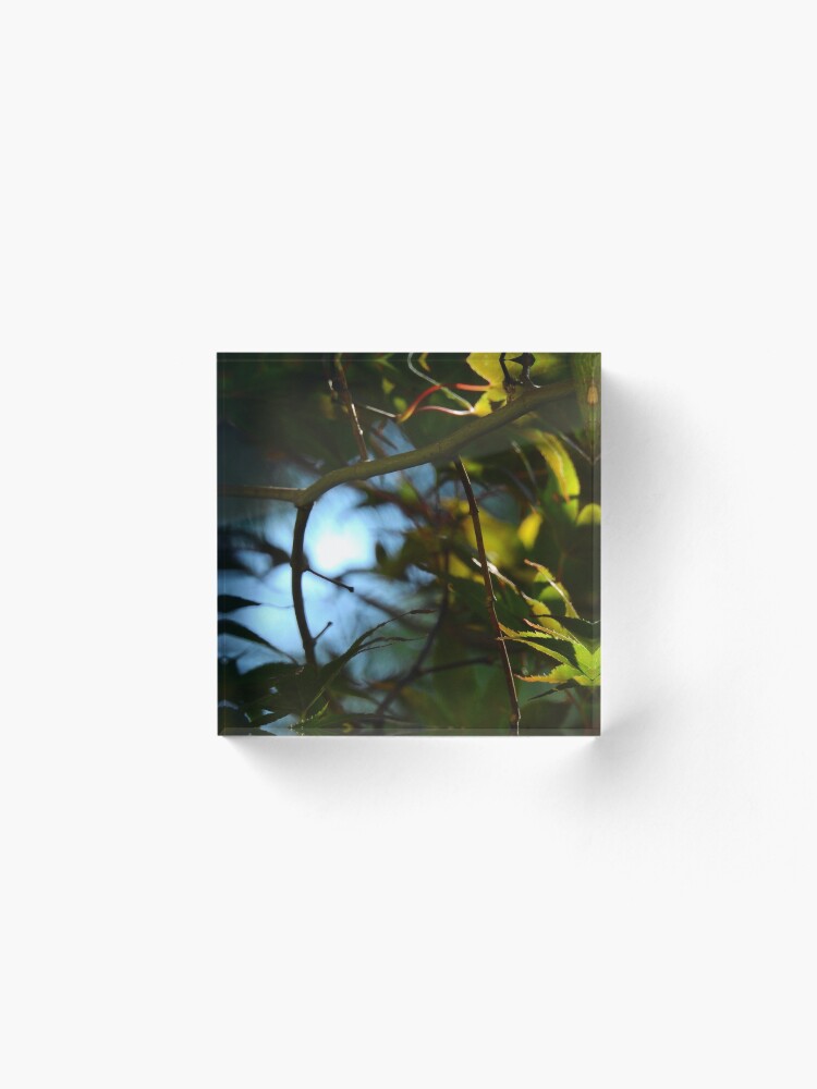 Alternate view of The Serene Wood Acrylic Block